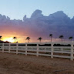 Meet your Posher, Ron